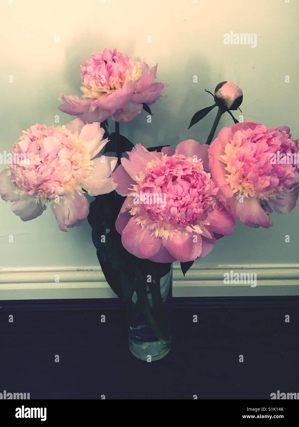 Peonies in a glass vase Stock Photo Alamy