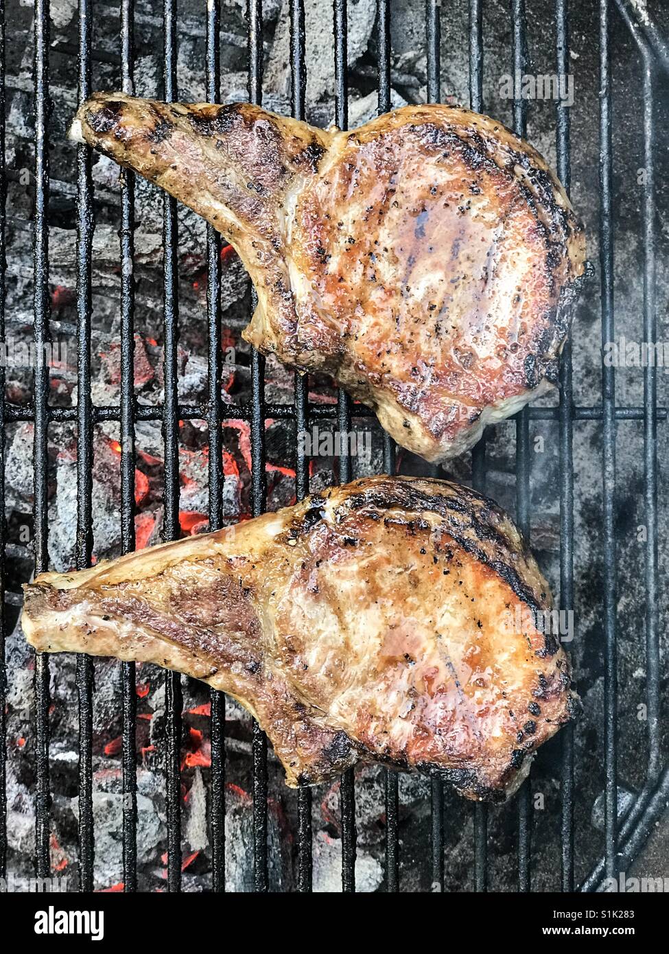 Two pork chops grilling on a charcoal barbecue. Stock Photo