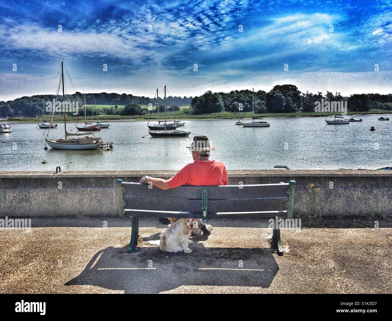 A dogs life - Smartphone Captured Stock Image