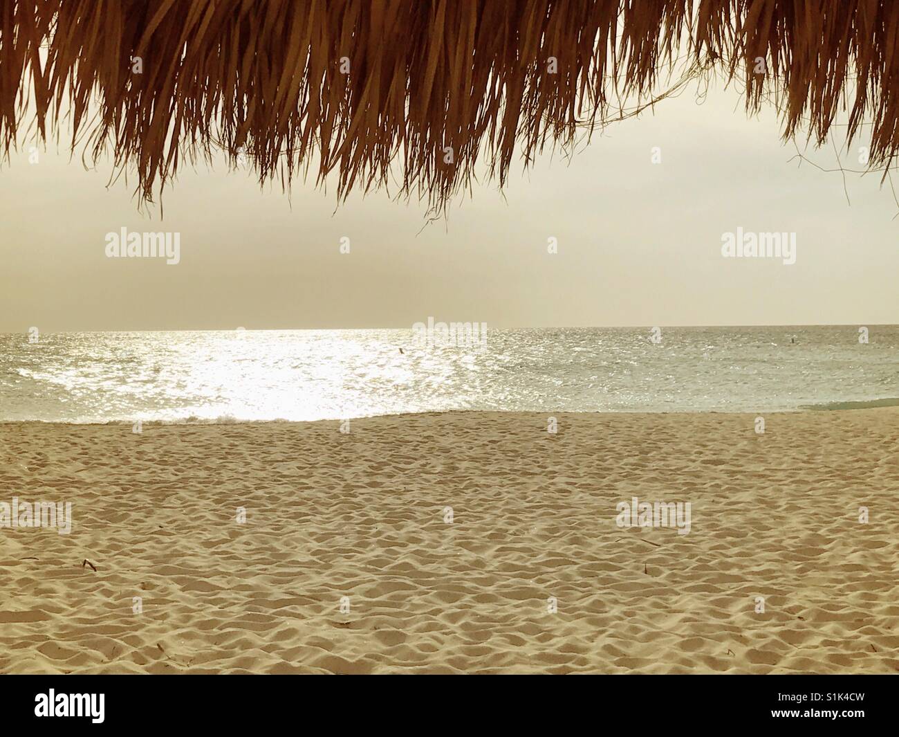 Beach view from under a palapa - Smartphone Captured Stock Image