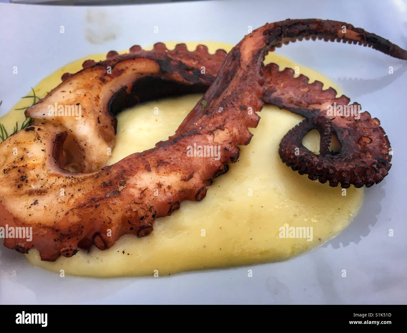 Octopus. Spanish tapas : Pata de Pulpo Stock Photo