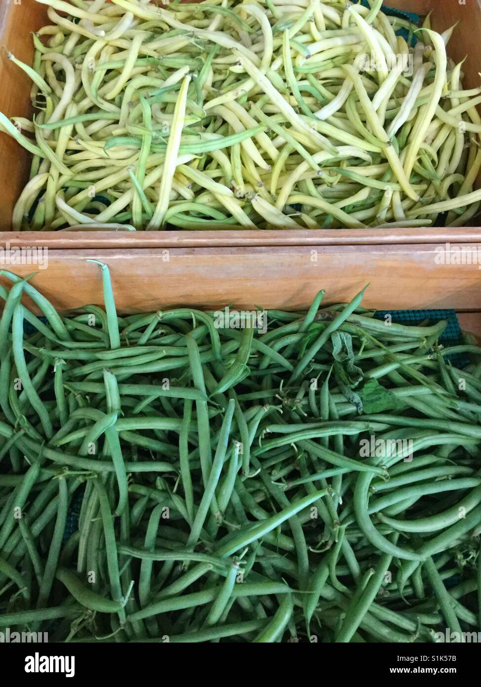 Yellow green beans hires stock photography and images Alamy