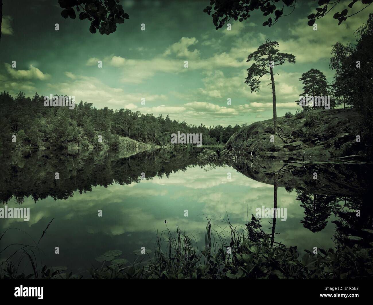Swedish Lake with mirror like still water - Smartphone Captured Stock Image
