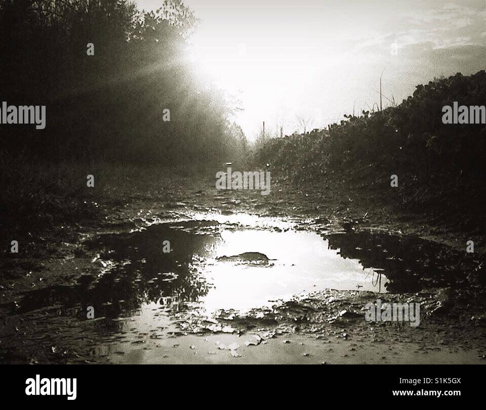 Sunrise reflection on dirt road puddle- North Carolina - Smartphone Captured Stock Image