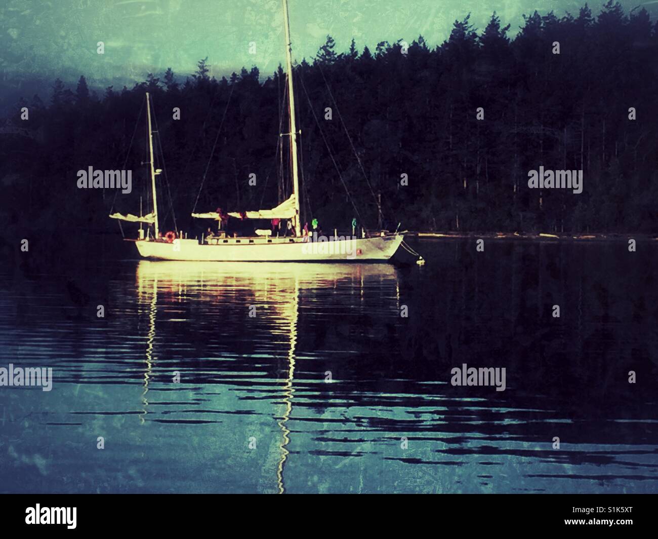 Summer at San Juan Islands - Smartphone Captured Stock Image