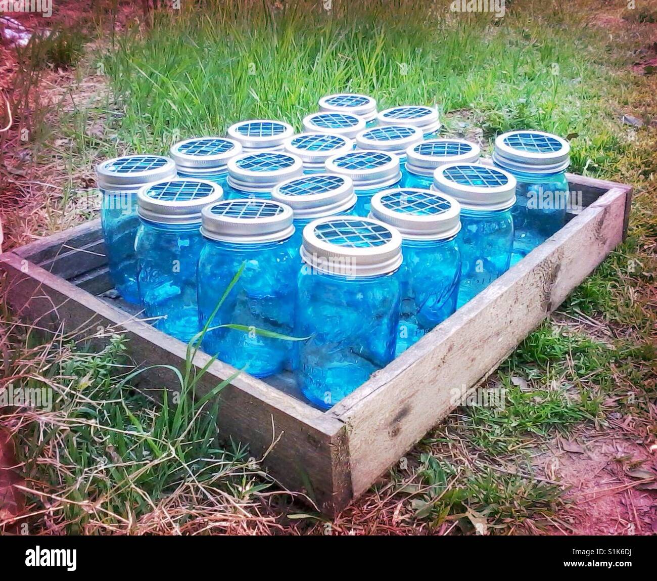 Blue flower vase jars- North Carolina - Smartphone Captured Stock Image