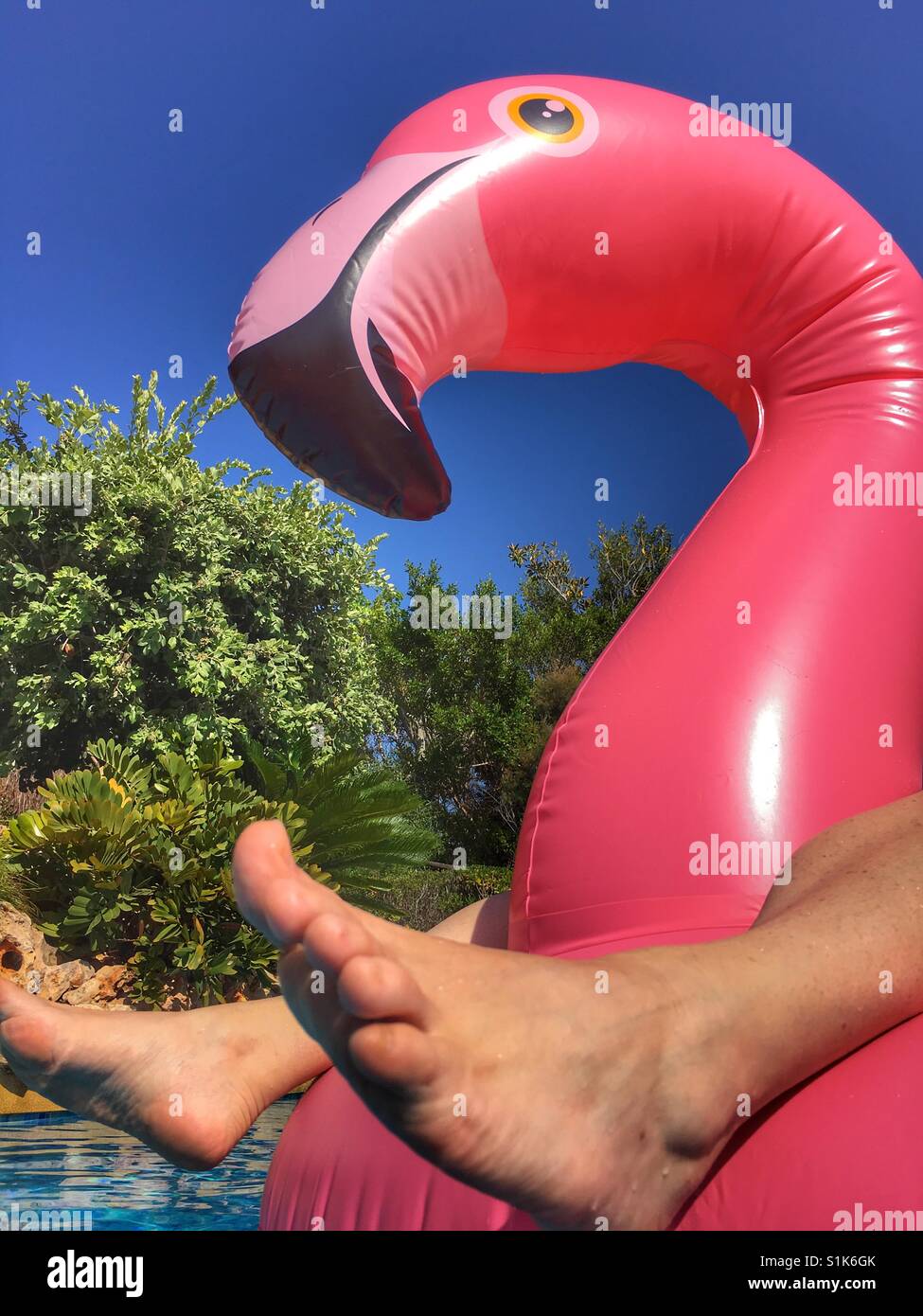 Summer fun. Feet and pink inflatable flamingo in swimming pool - Smartphone Captured Stock Image