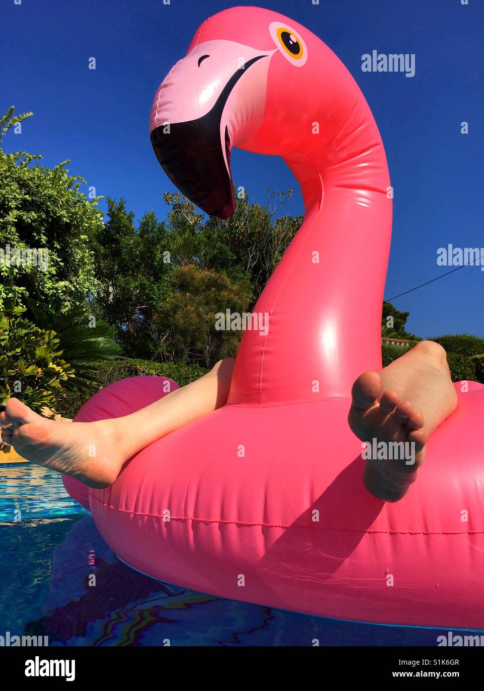 Summer fun. Feet and pink inflatable flamingo in swimming pool - Smartphone Captured Stock Image