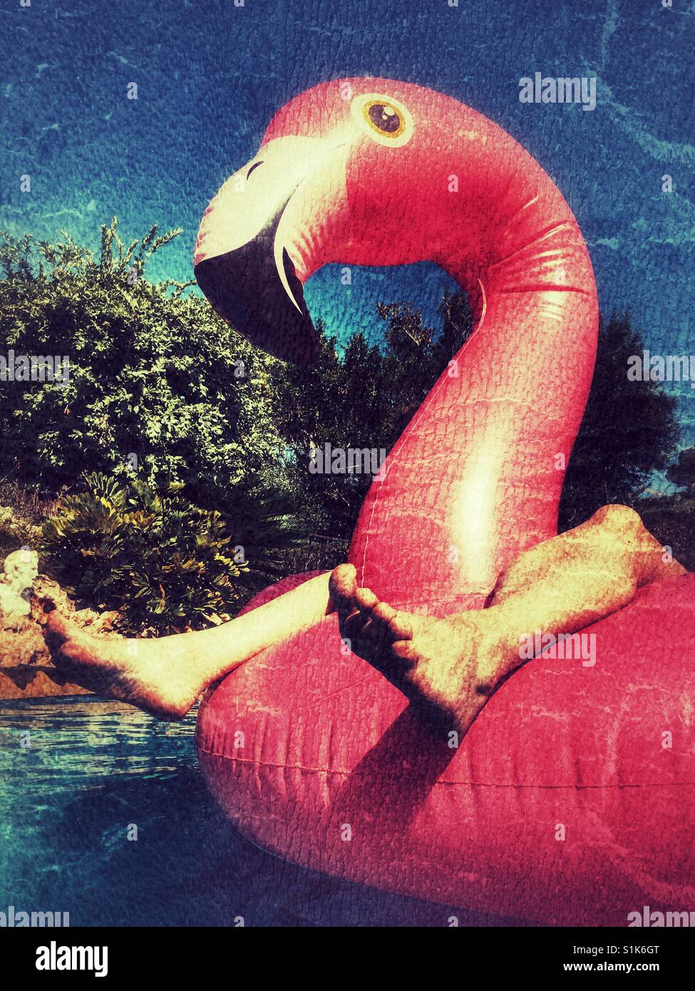 Summer fun. Feet and pink inflatable flamingo in swimming pool - Smartphone Captured Stock Image