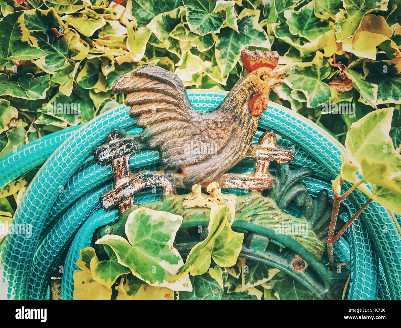 Hose holder hi-res stock photography and images - Alamy