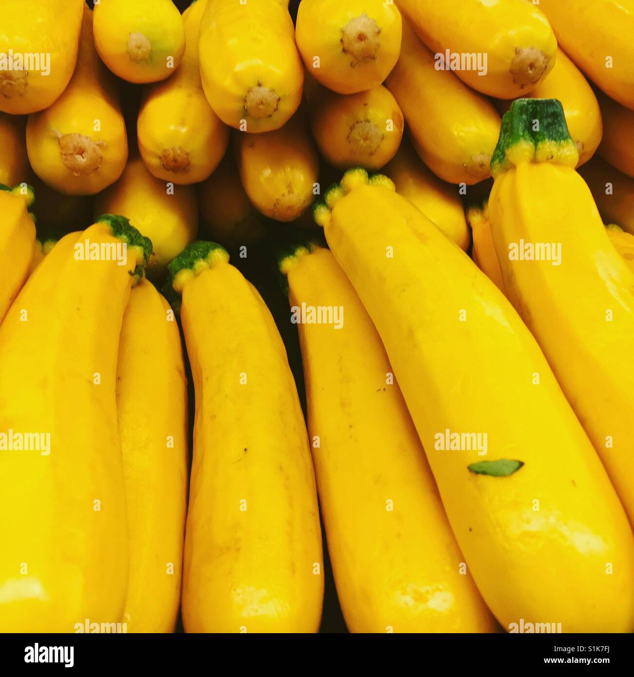 Fresh yellow zucchini by K.R. Stock Photo