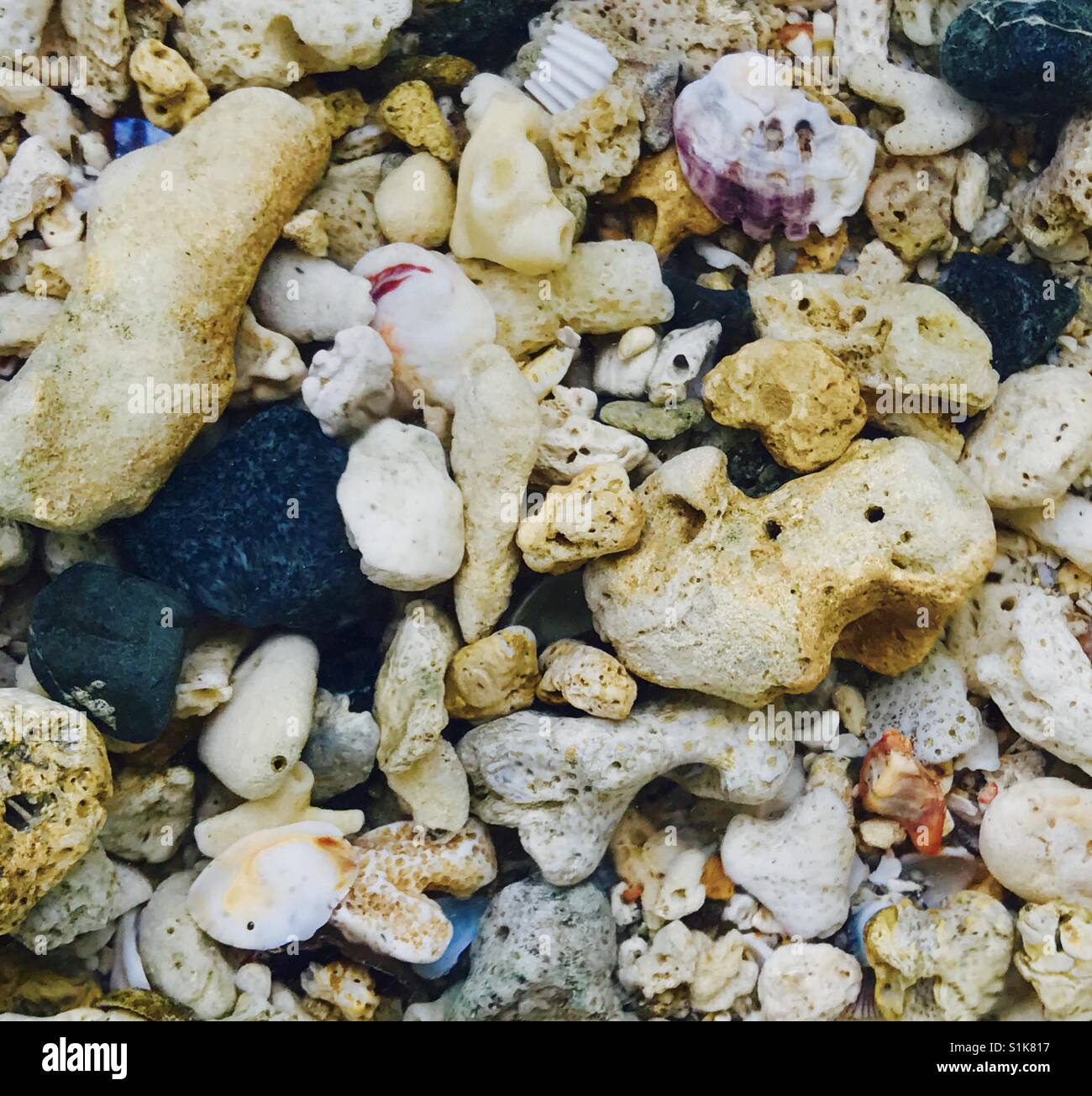 Sea stones, subic, phillipine sea Stock Photo