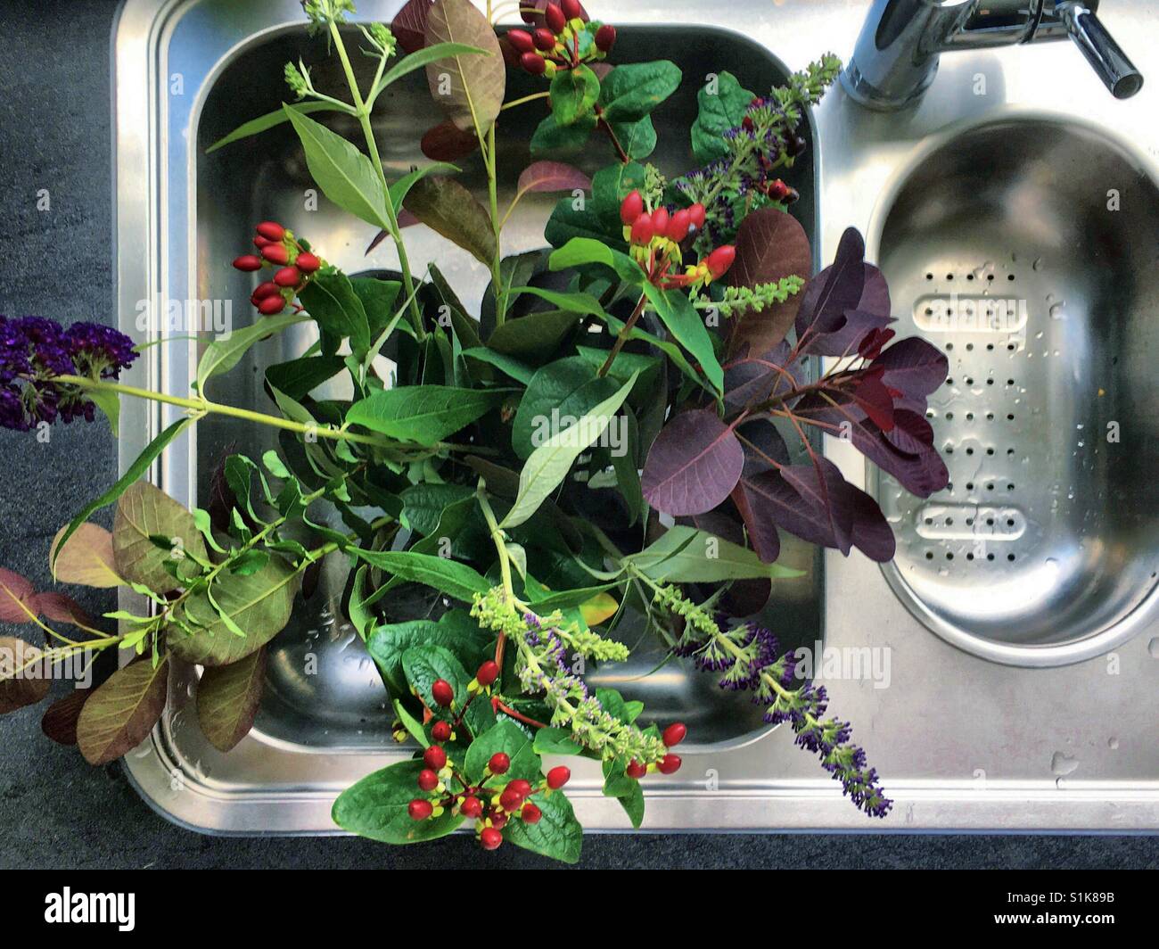 Fresh Flowers from the garden Stock Photo Alamy
