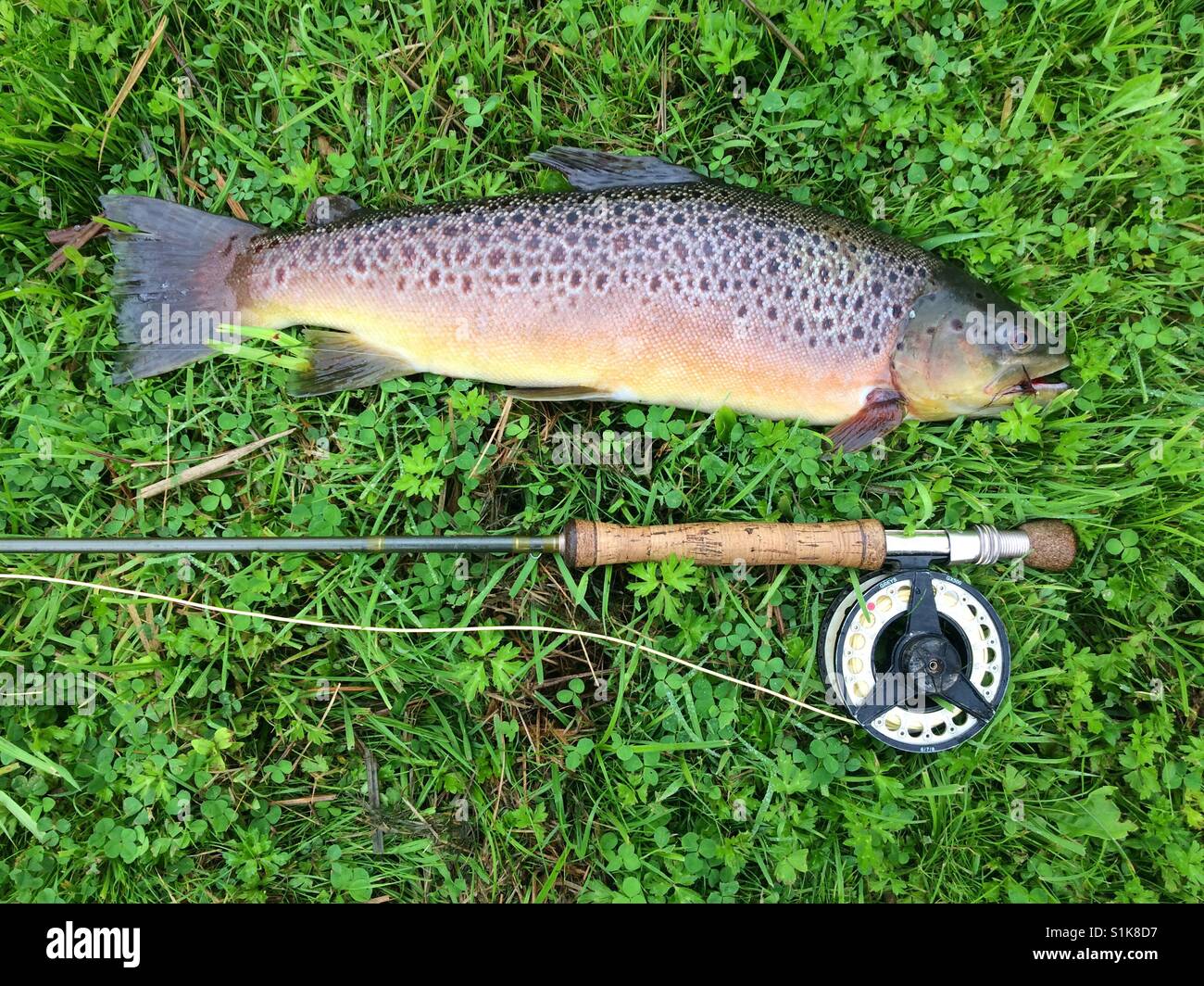 Large scale fishing hi-res stock photography and images - Alamy