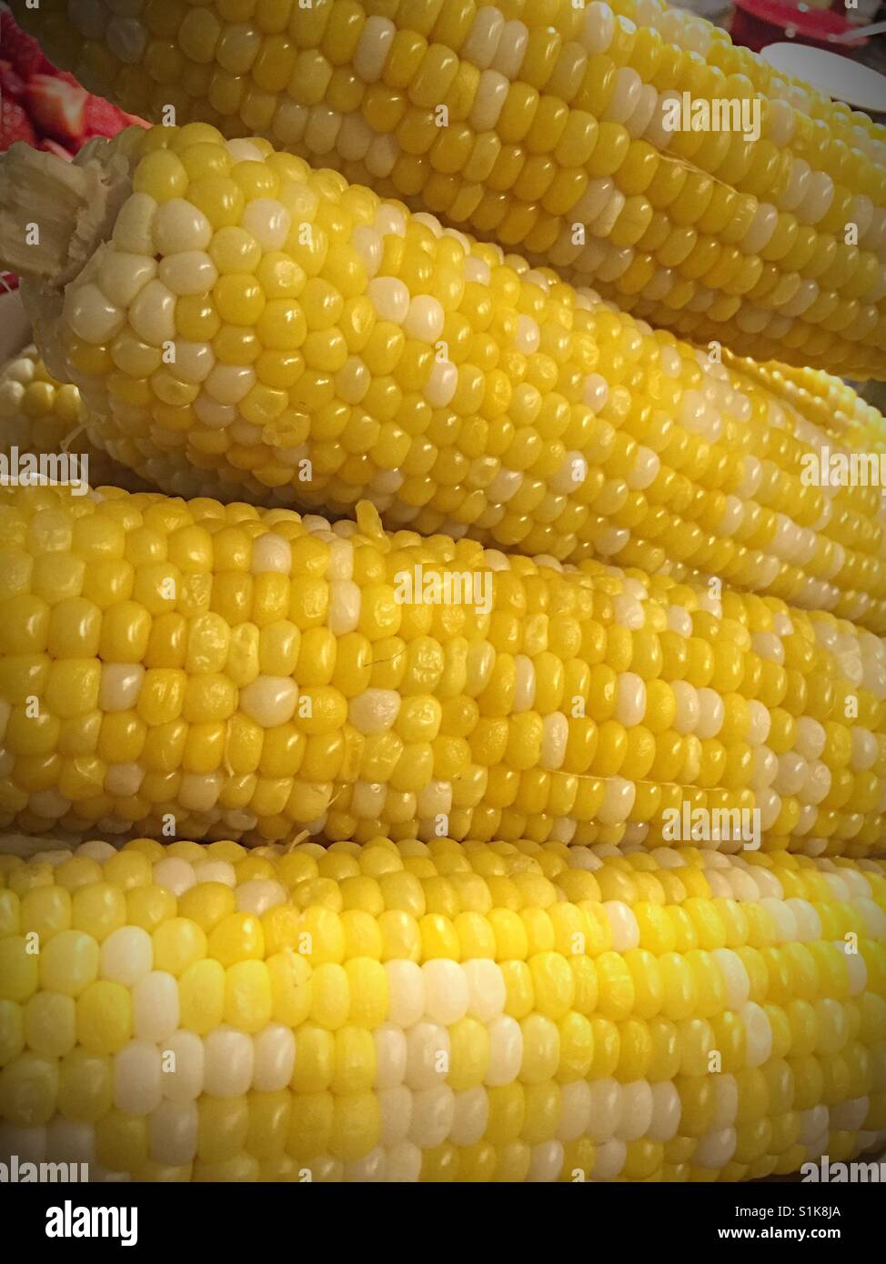Close-up of freshly cooked corn on the cob, USA - Smartphone Captured Stock Image