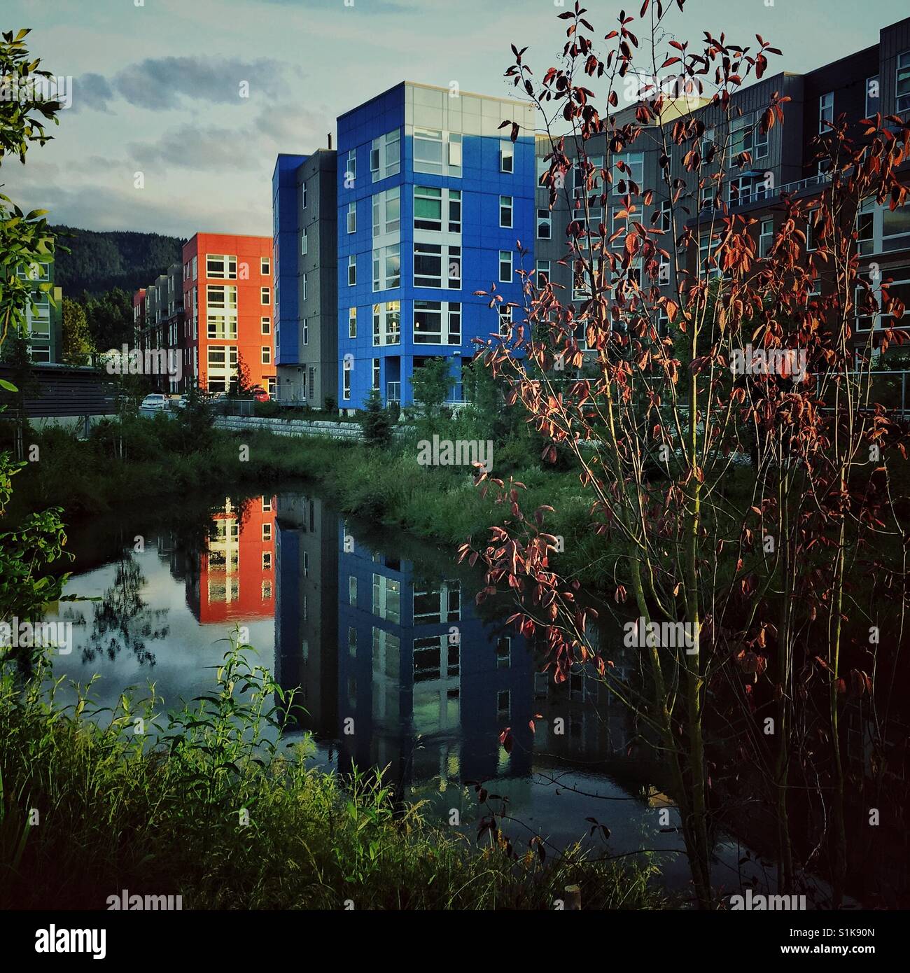 New modern colorful apartment buildings reflect in storm pond in Issaquah, WA Stock Photo