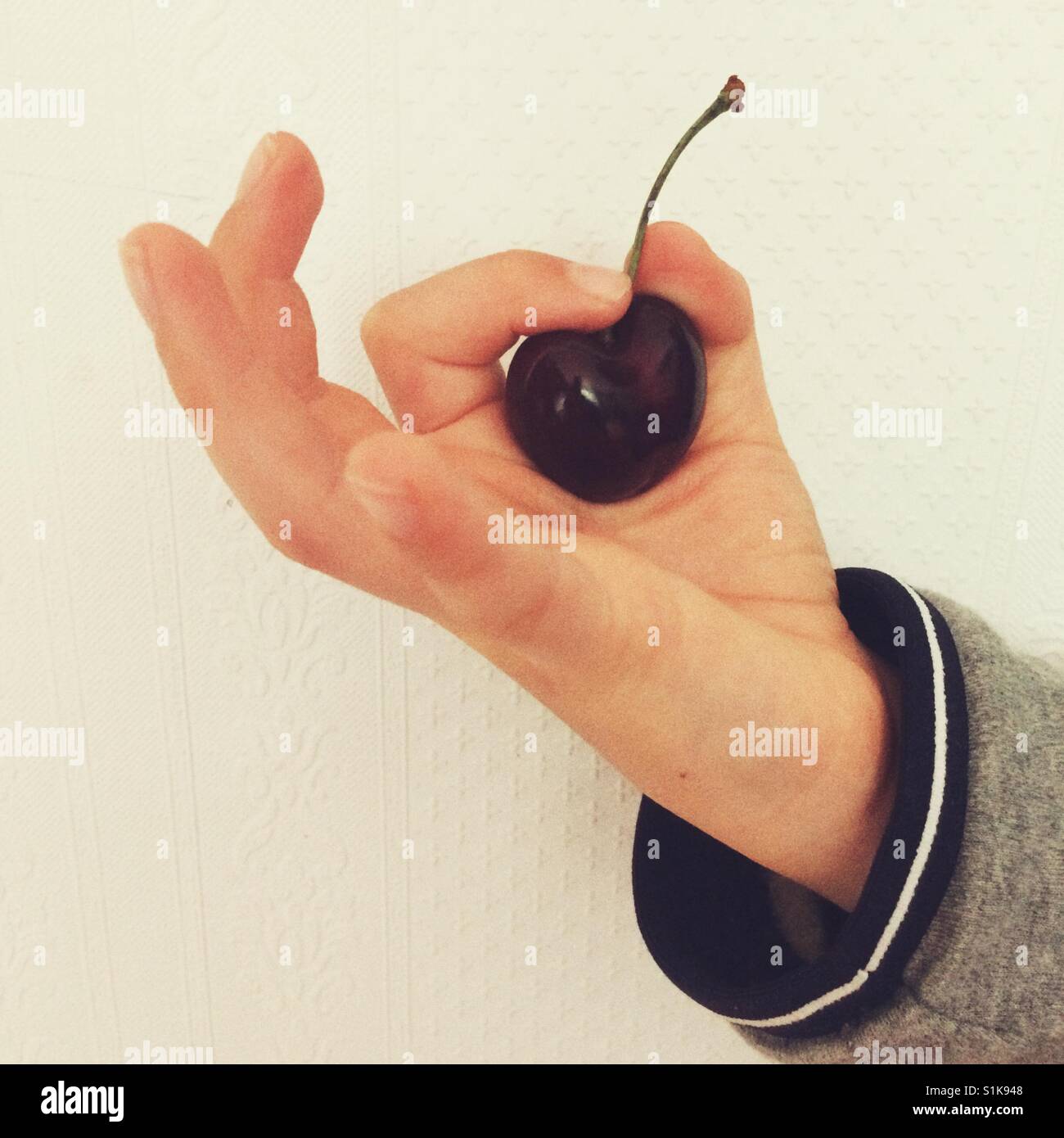 Eight year old boys hand holding a large black cherry. Stock Photo