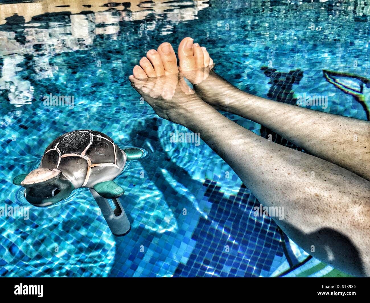 Woman's legs and feet in swimming pool next to a tortoise shaped pool thermometer Stock Photo