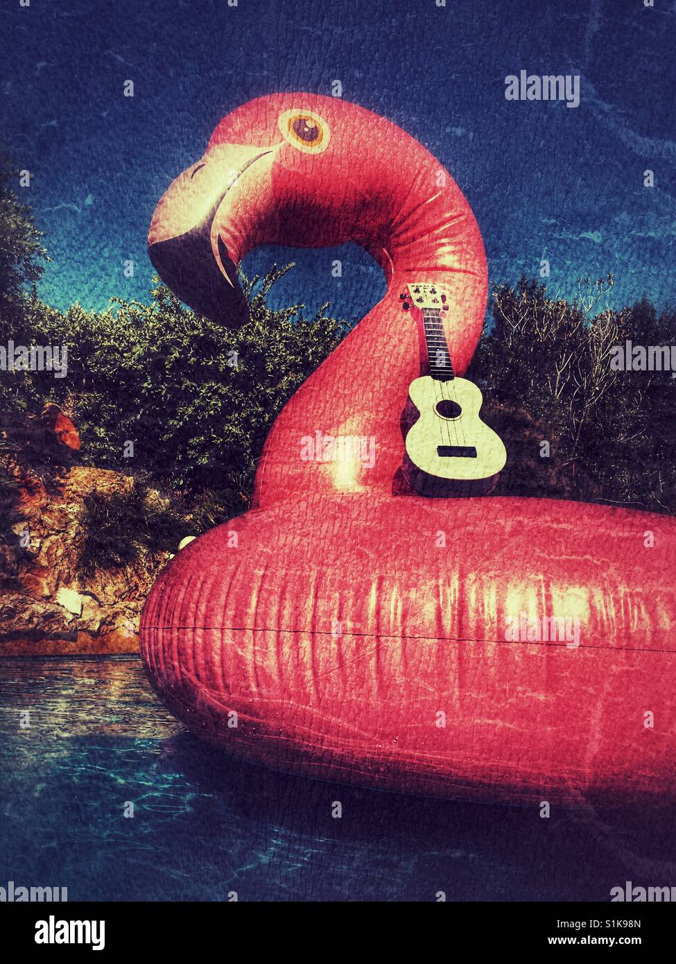 Plastic ukulele on a giant pink inflatable flamingo in a swimming pool - Smartphone Captured Stock Image