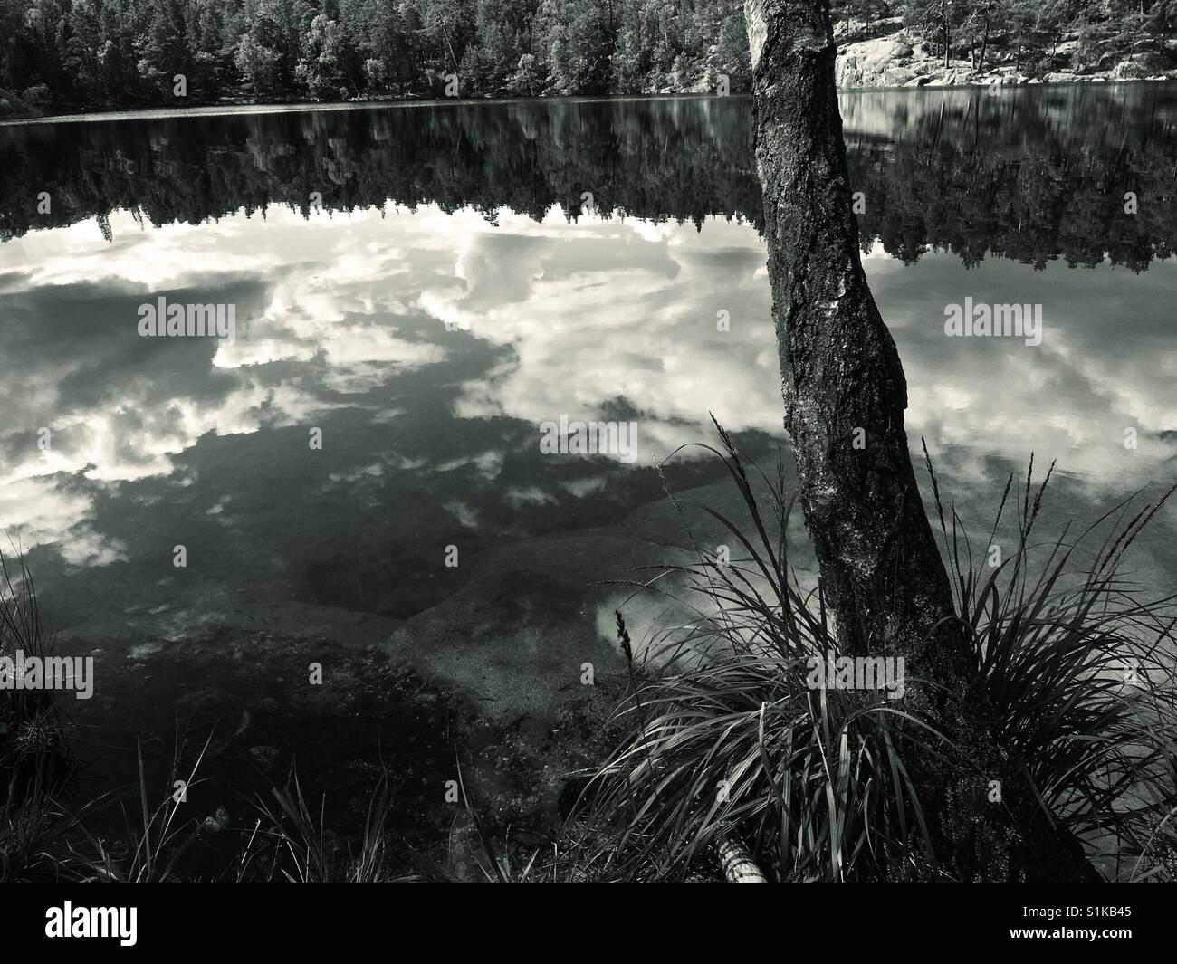 Clouds and sky reflected in mirror-like swedish lake - Smartphone Captured Stock Image