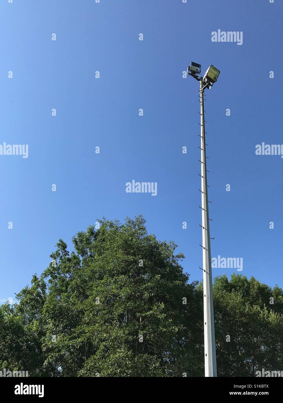 Floodlights on a sports pitch against a background of bright blue sky and trees (subject positioned to right) Stock Photo