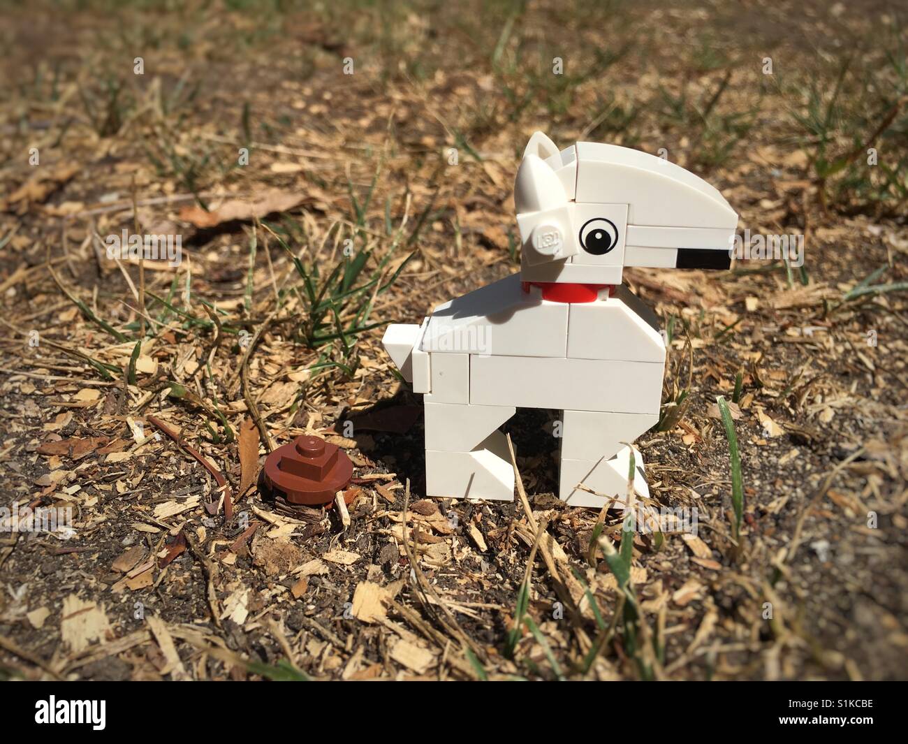 A LEGO dog goes to the bathroom Stock Photo