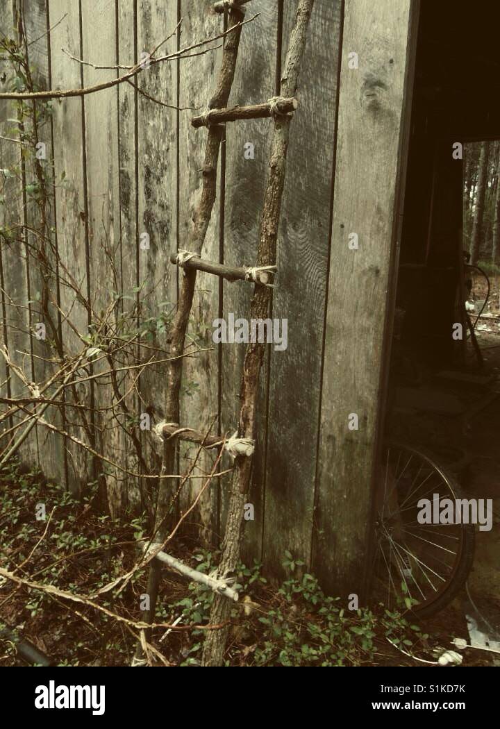 Ladder outside, bicycle inside North Carolina shed - Smartphone Captured Stock Image