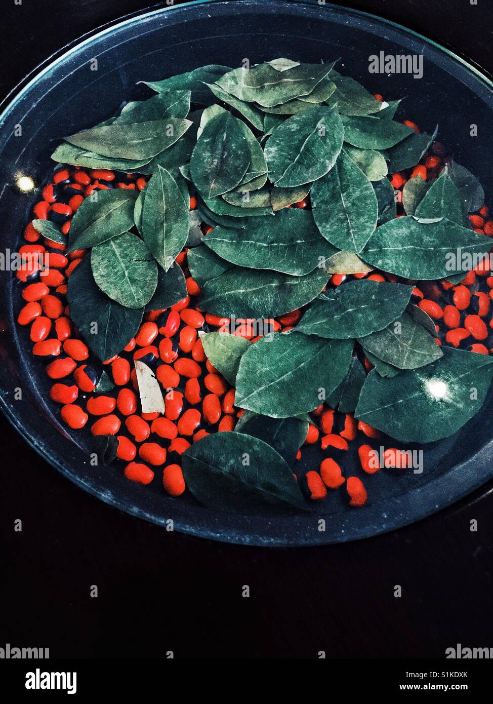 Coca Leaves High Resolution Stock Photography and Images Alamy