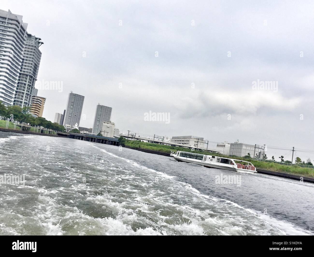 Yokohama sea bass Stock Photo Alamy