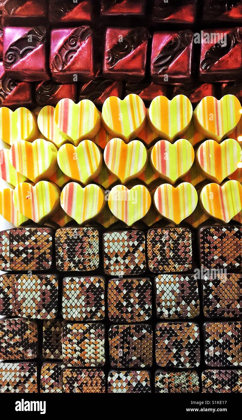 Rows of artisan craft chocolates - Smartphone Captured Stock Image