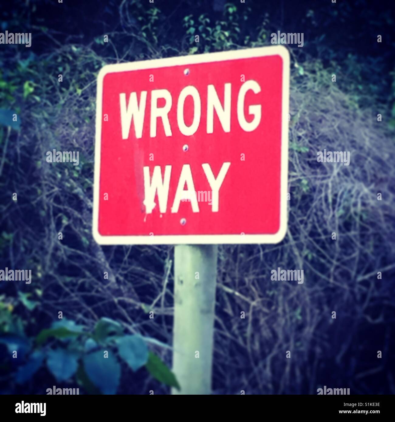 Wrong way sign Stock Photo