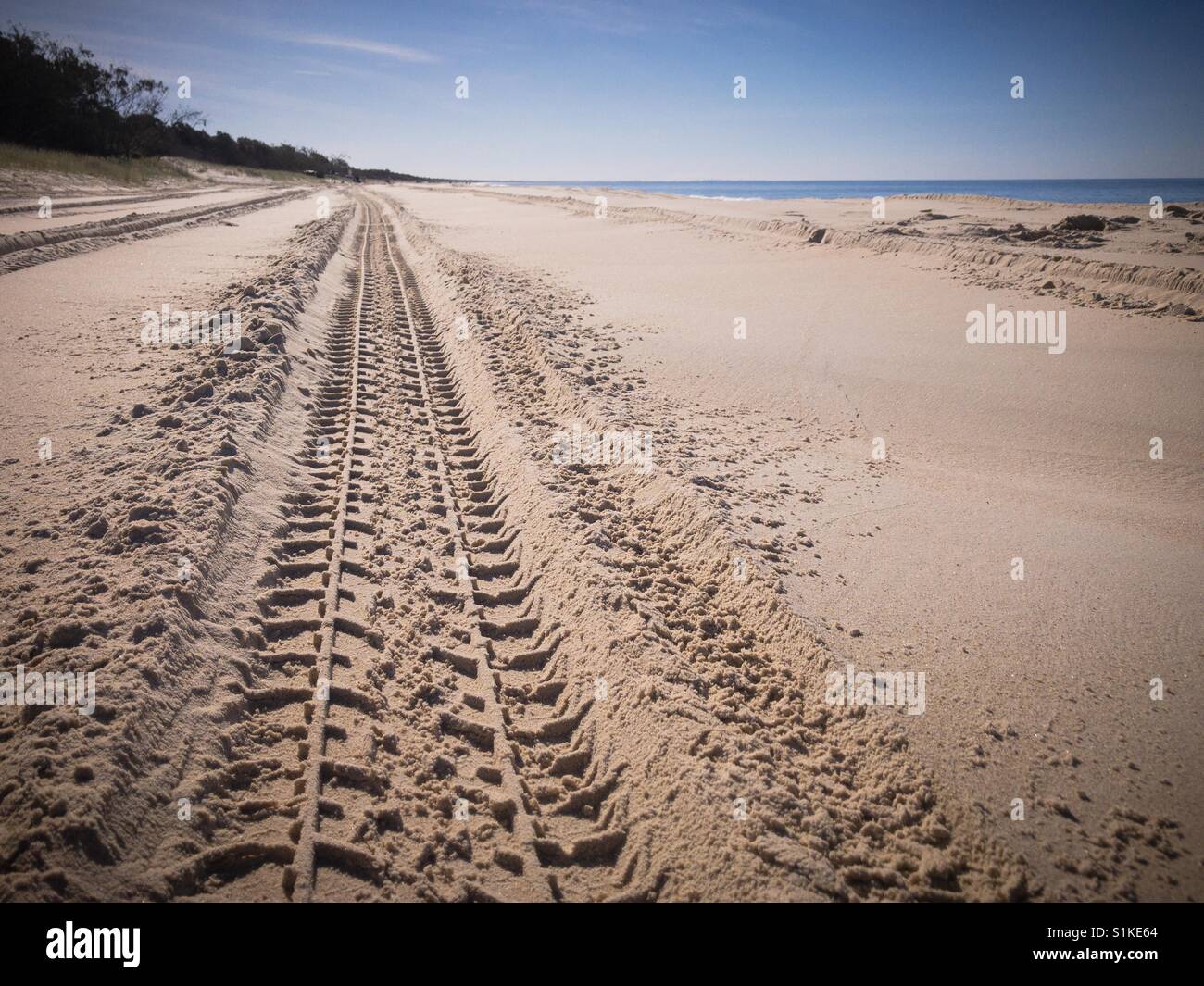 4WD offroad tracks on a sandy ocean beach Stock Photo Alamy