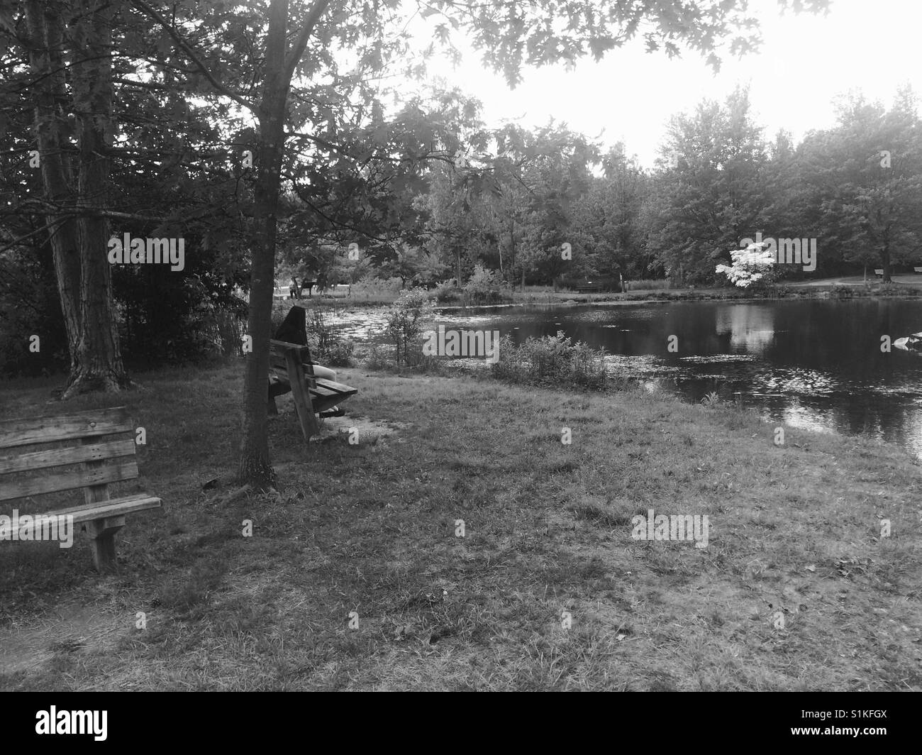 The pone Black and White Stock Photos & Images - Alamy