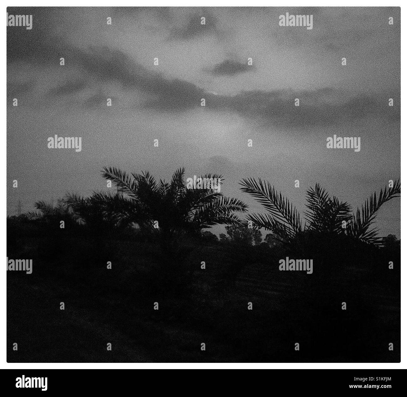 Black n white hi-res stock photography and images - Alamy
