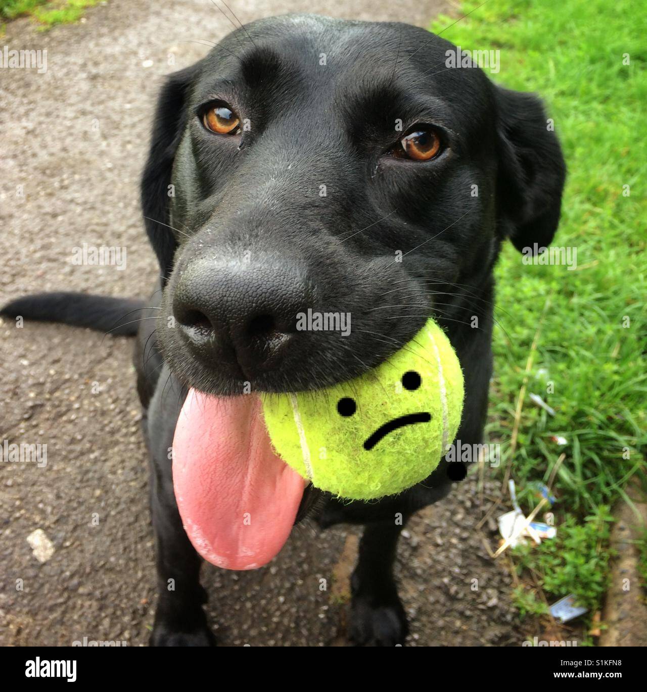 The emoji hunter - Smartphone Captured Stock Image