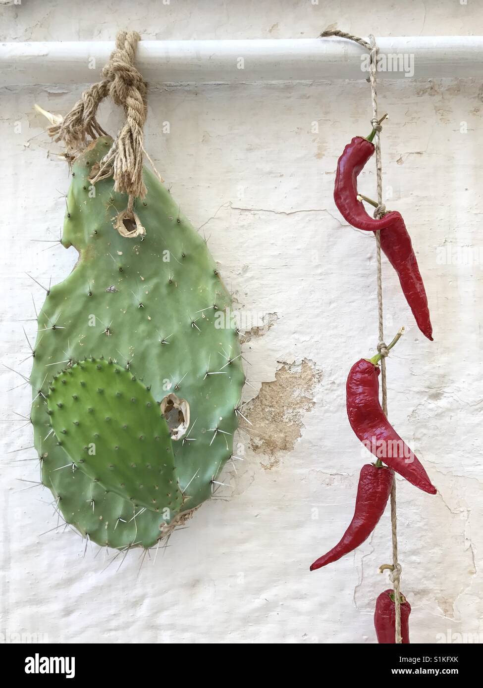 Pickly pear shovel and chili peppers hanging on a wall of Polignano a Mare, Italy Stock Photo
