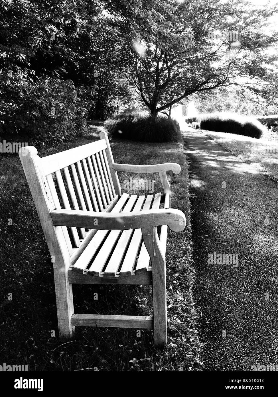 Bench in park - Smartphone Captured Stock Image
