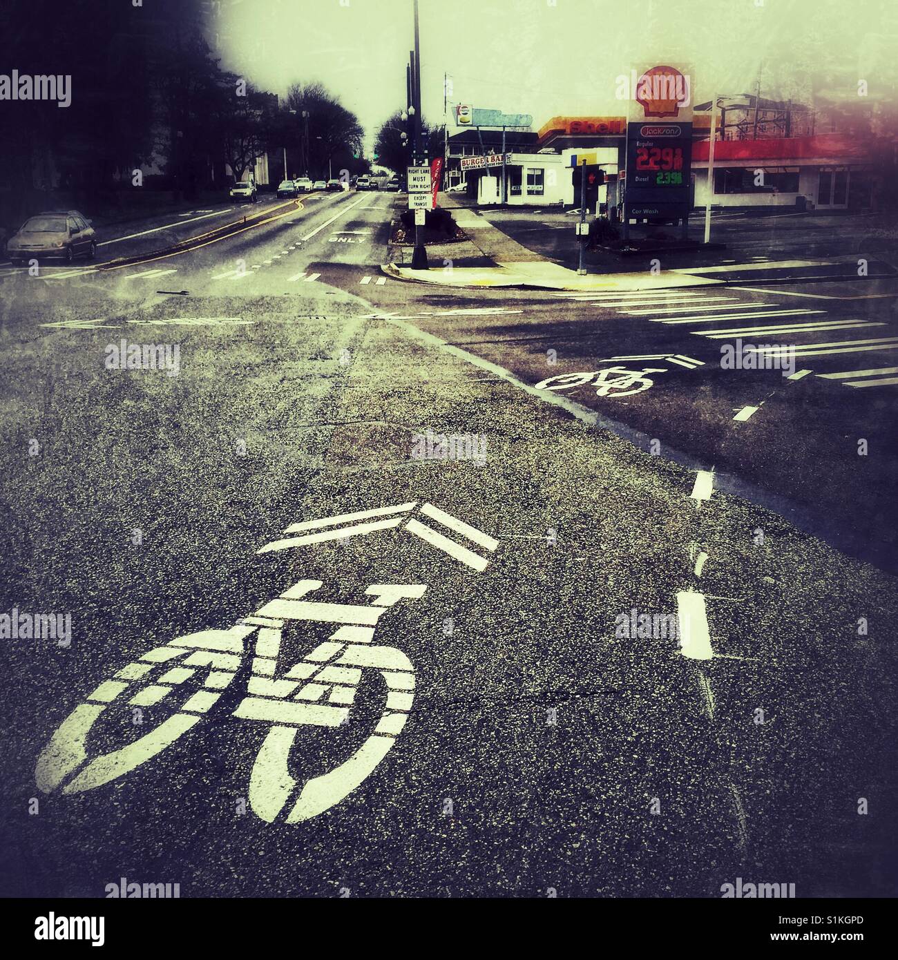 Bicycle signs on the roadway in Tacoma, WA - Smartphone Captured Stock Image