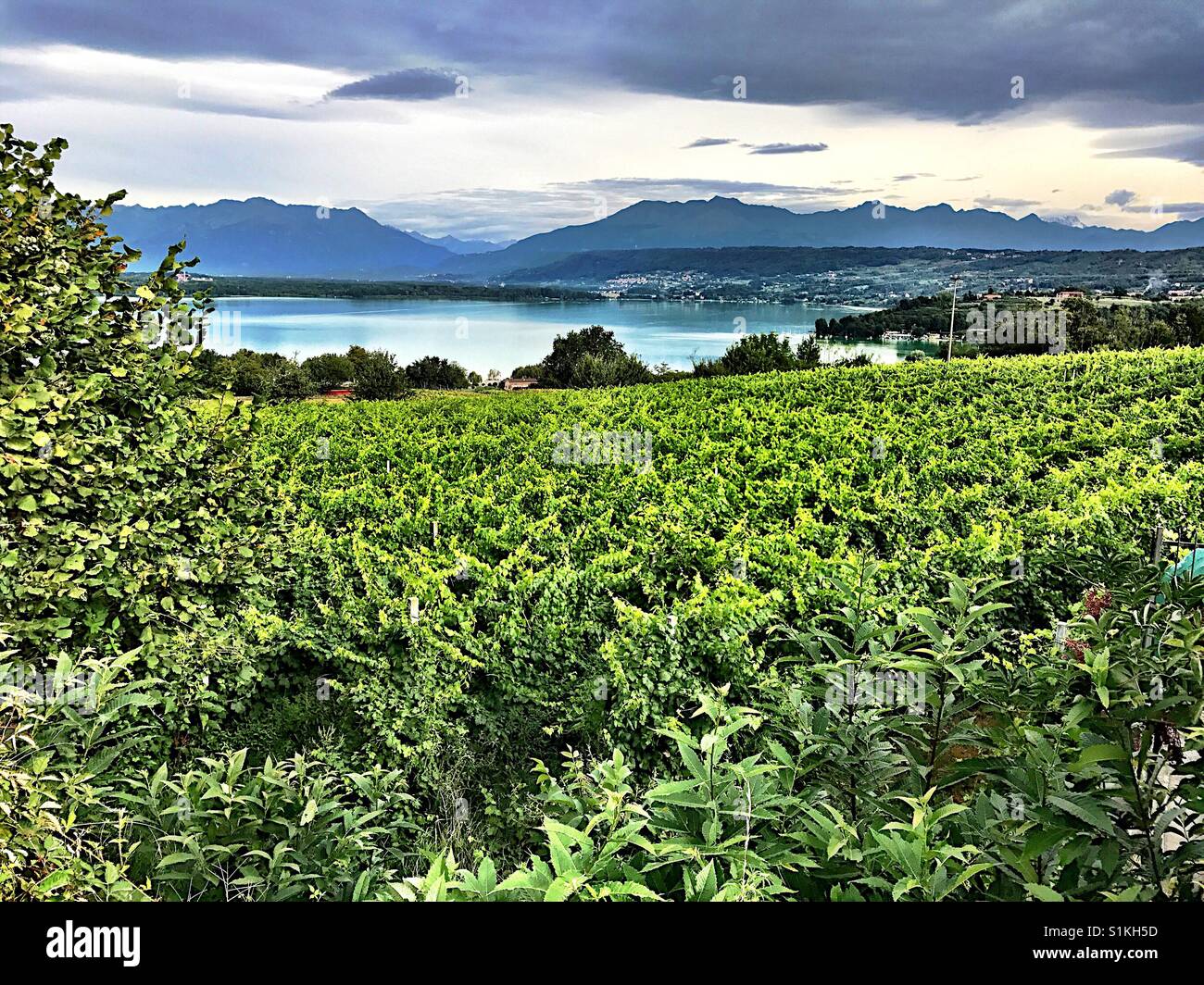 Travel Italy Landscape Vineyard Lake Stock Photo