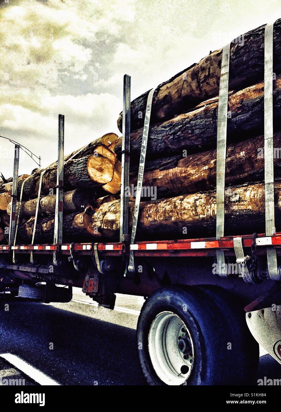 Logs being transported on logging truck, Canada - Smartphone Captured Stock Image