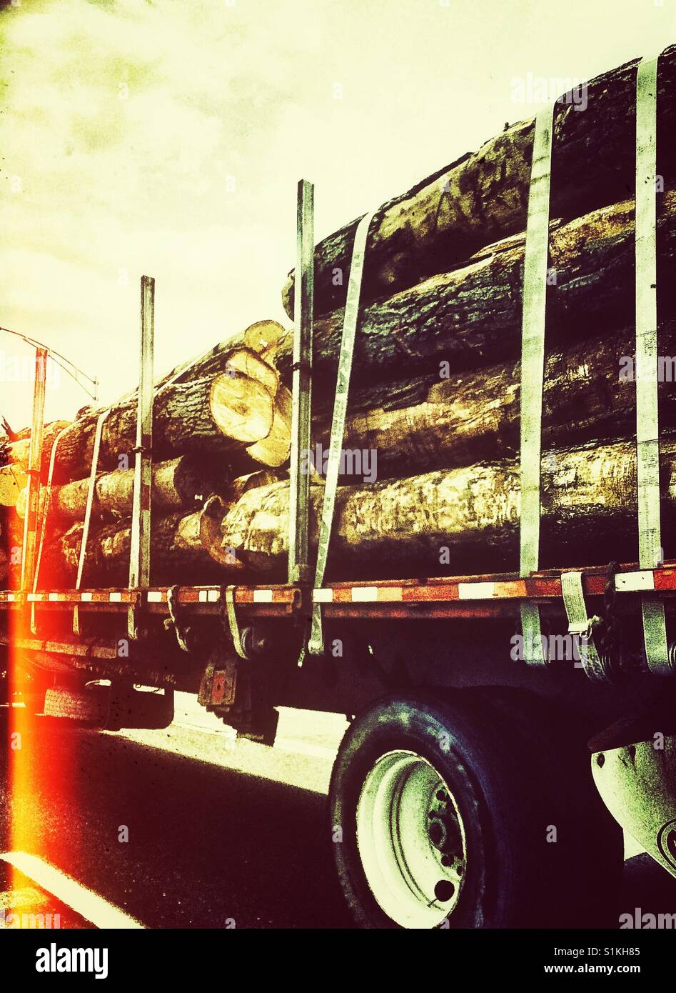 Logging truck transporting tree logs hires stock photography and images Alamy