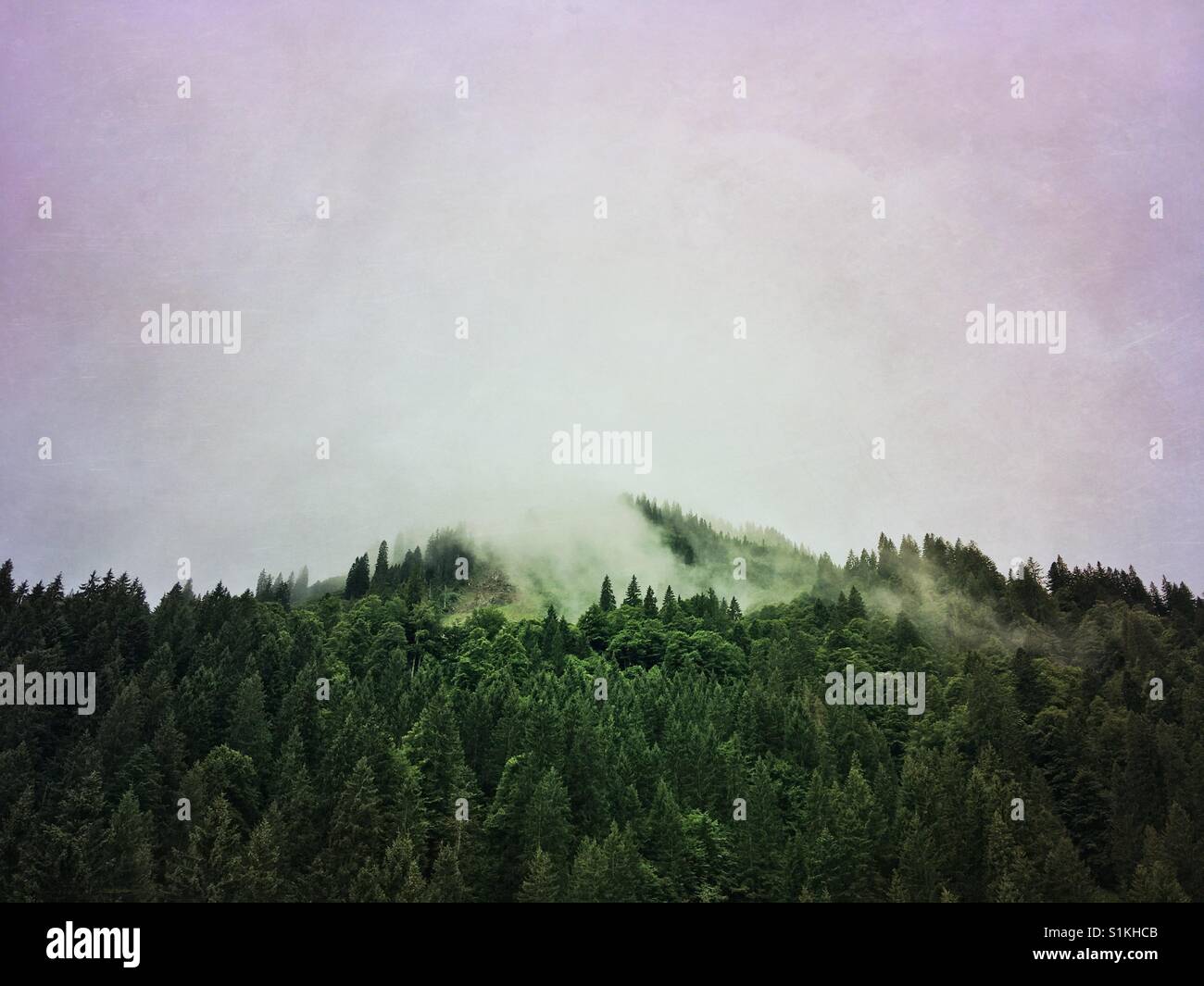 The Wannenkopf seen from the Bolgental in the Bavarian Alps, Germany - Smartphone Captured Stock Image