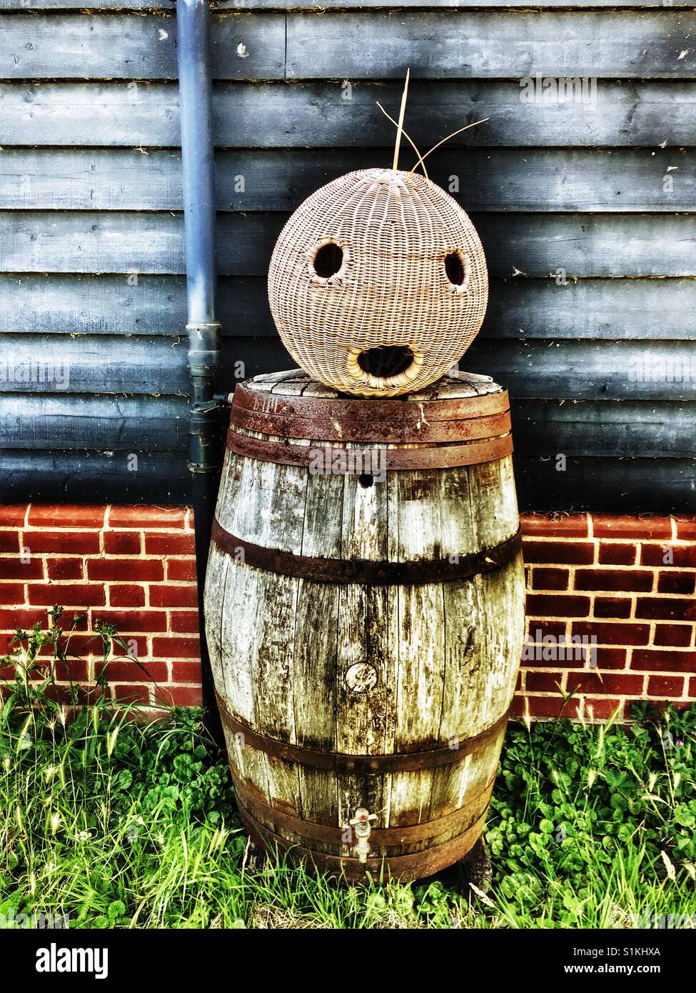 Water but and wicker face bird feeder - Smartphone Captured Stock Image