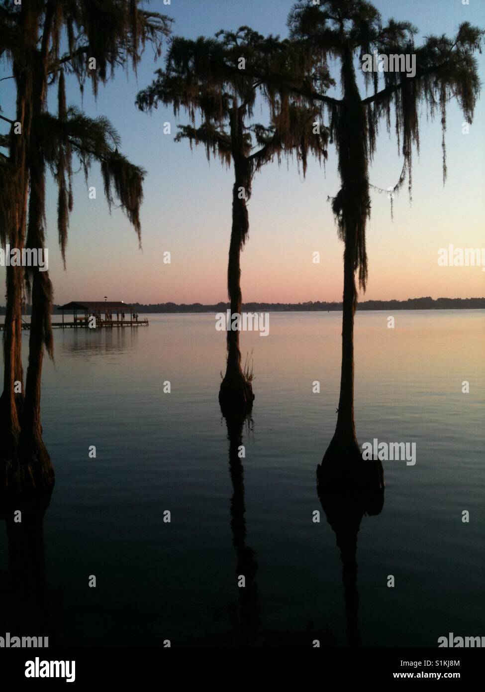 Sunrise at White Lake, North Carolina with Spanish Moss covered tree silhouettes Stock Photo
