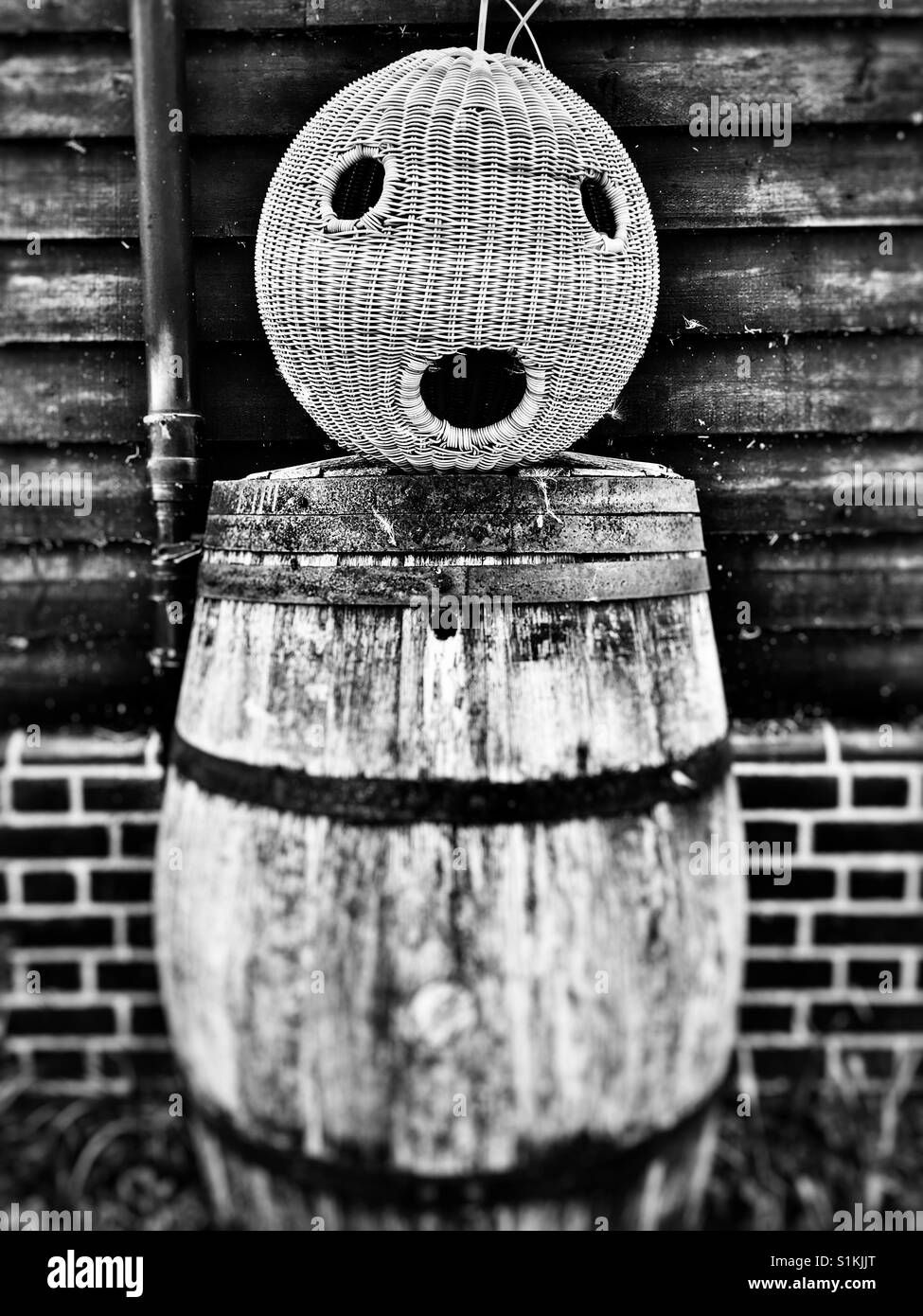 Wicker bird feeder - Smartphone Captured Stock Image