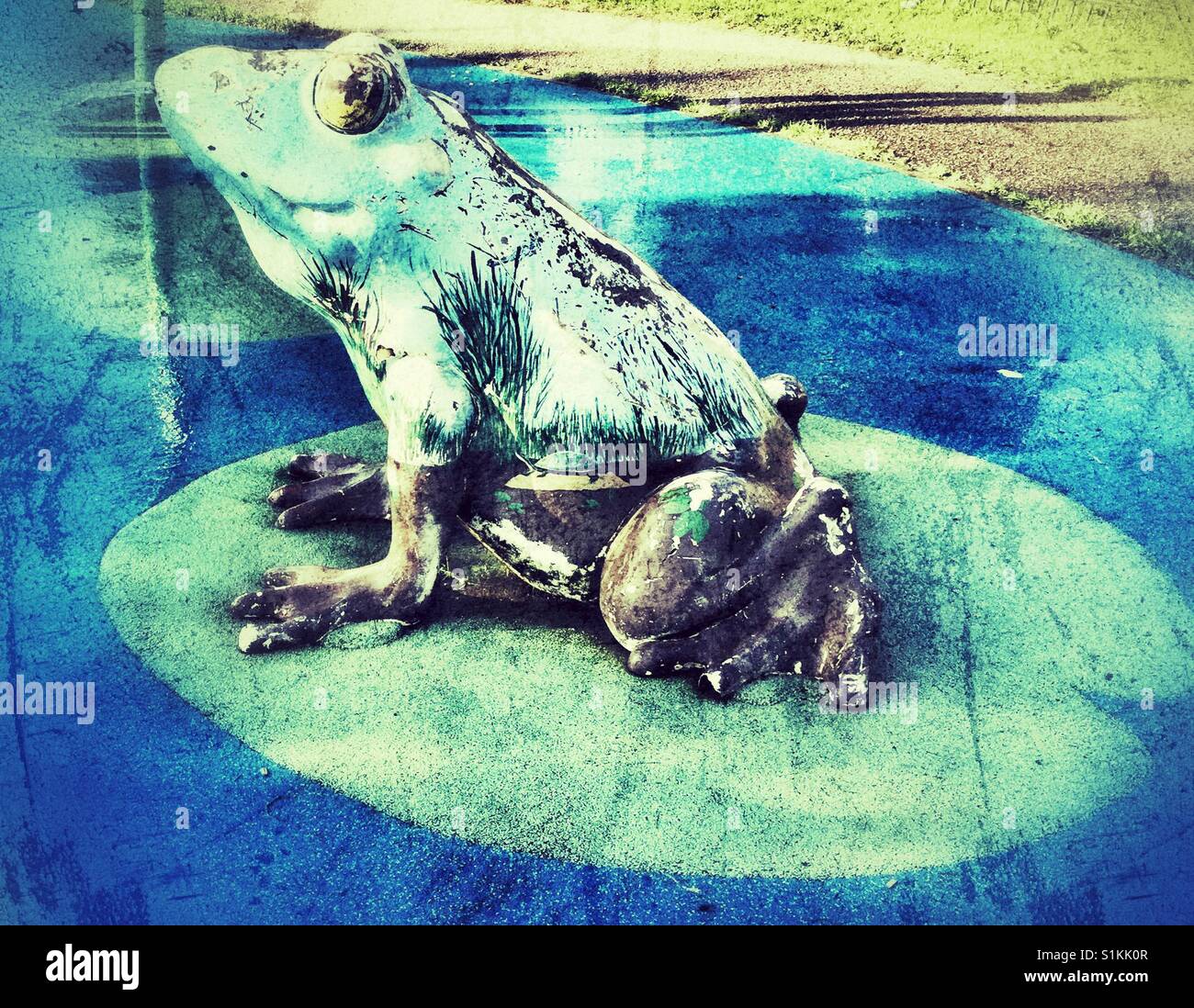 Frog statue sitting on a lily pad in a water Park. - Smartphone Captured Stock Image