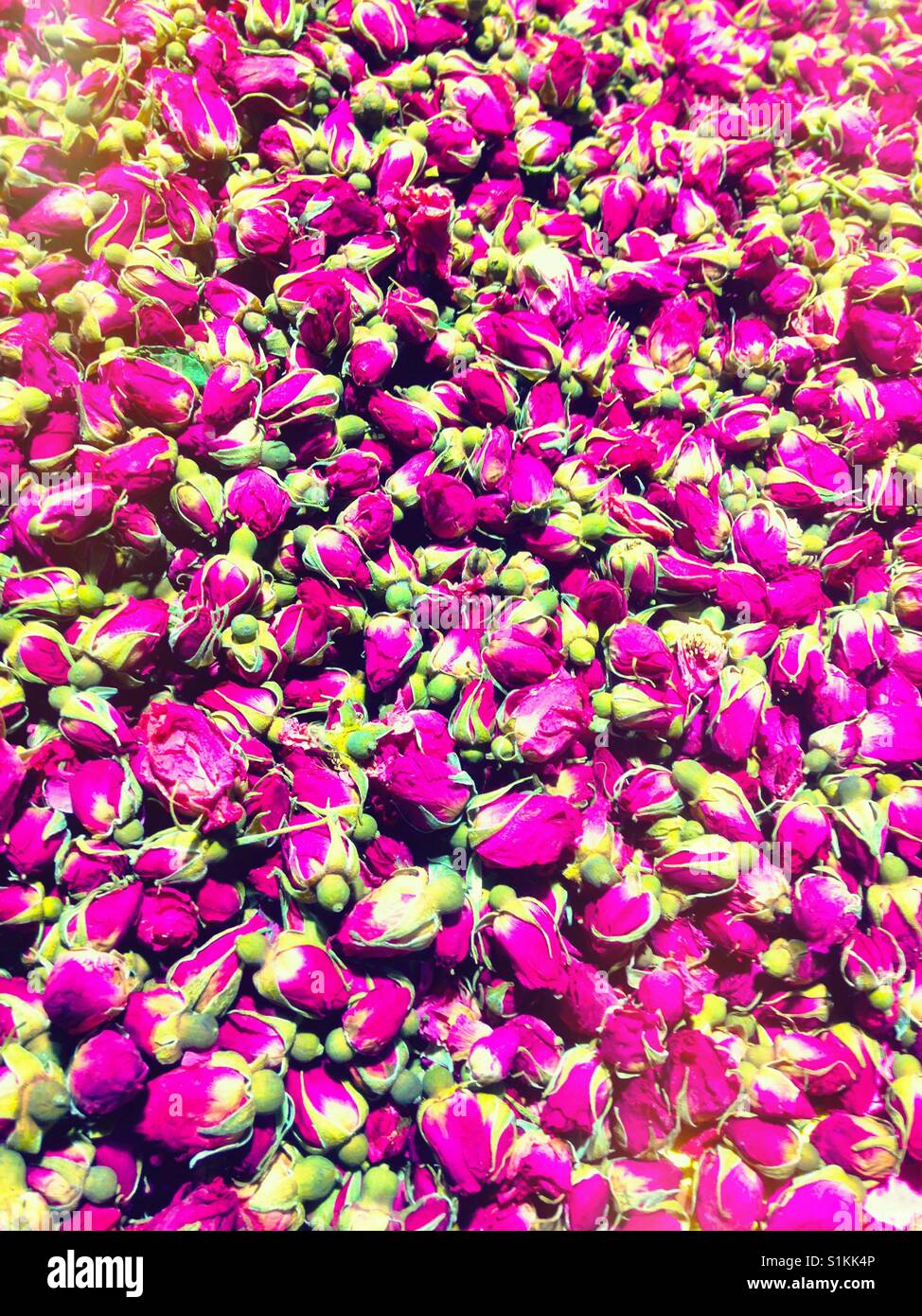 Dried rose buds for making tea. - Smartphone Captured Stock Image