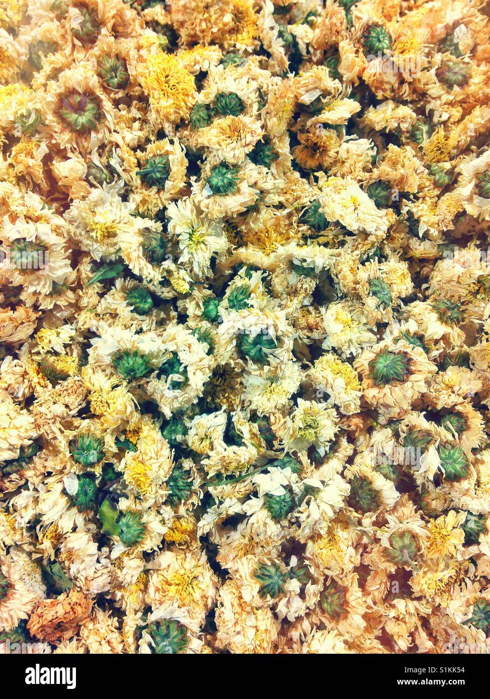 Dried flowers for making tea. - Smartphone Captured Stock Image
