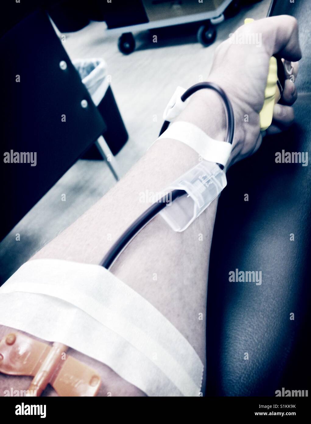 Blood letting- donating plasma in North Carolina Stock Photo