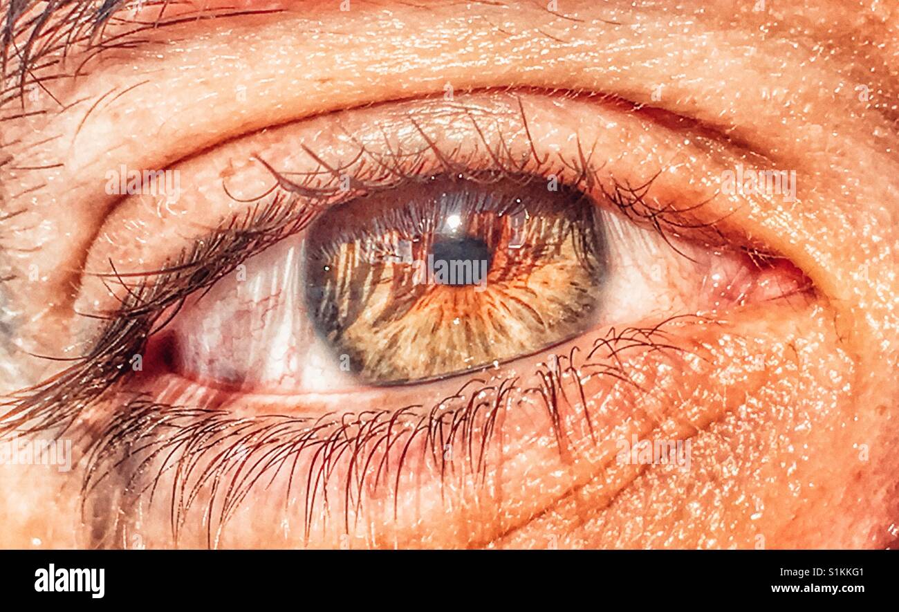 Human eye, hazel colour Stock Photo - Alamy